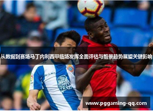 从数据到赛场马丁内利西甲临场发挥全面评估与前景趋势展望关键影响